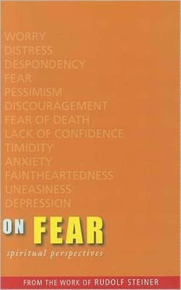 Kniha On Fear