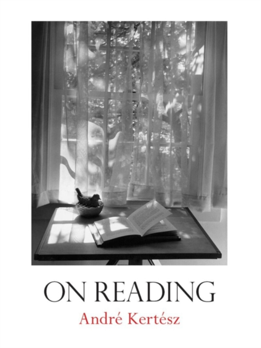Kniha On Reading