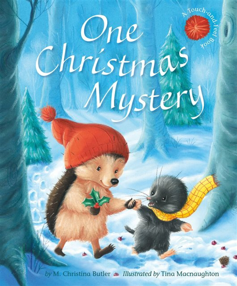 Kniha One Christmas Mystery