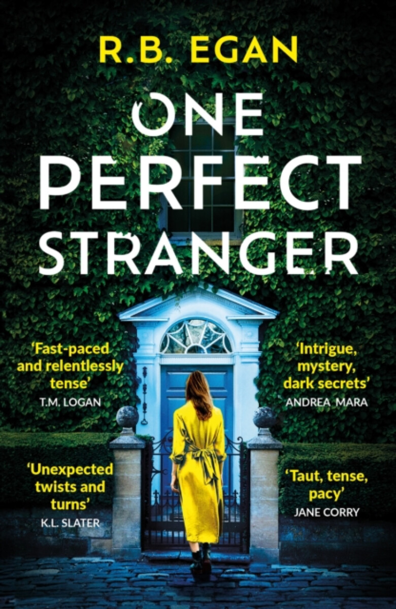 Kniha One Perfect Stranger