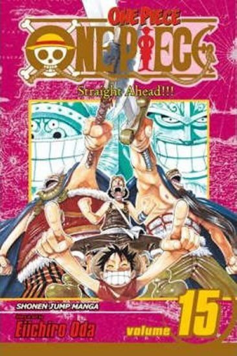 Kniha One Piece 15