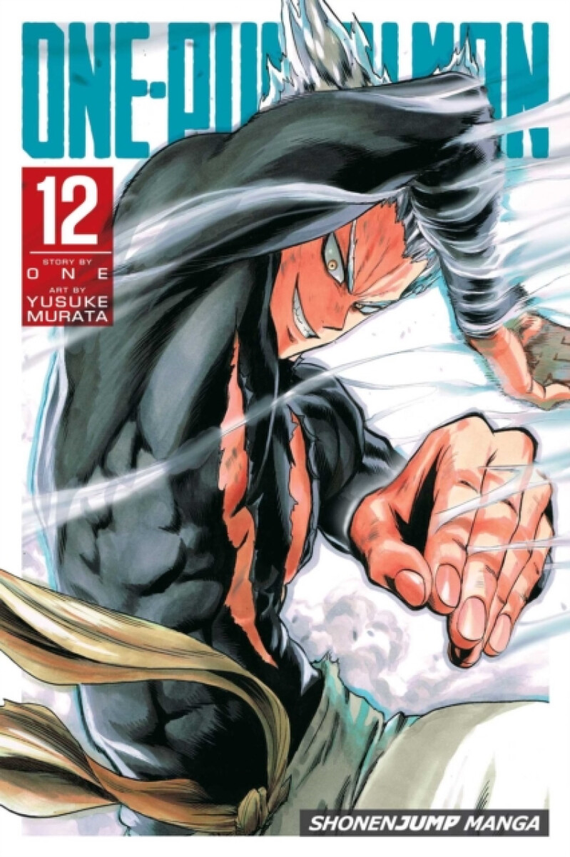 Kniha One-Punch Man 12