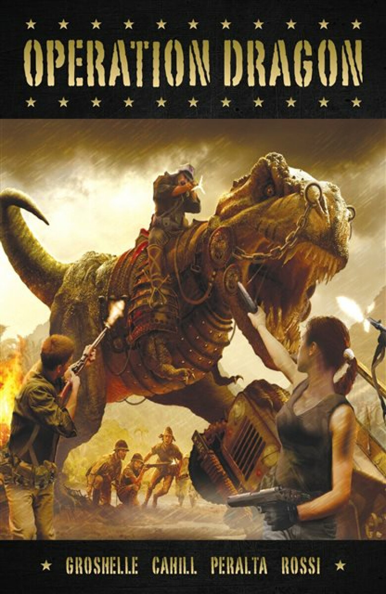 Kniha Operation Dragon