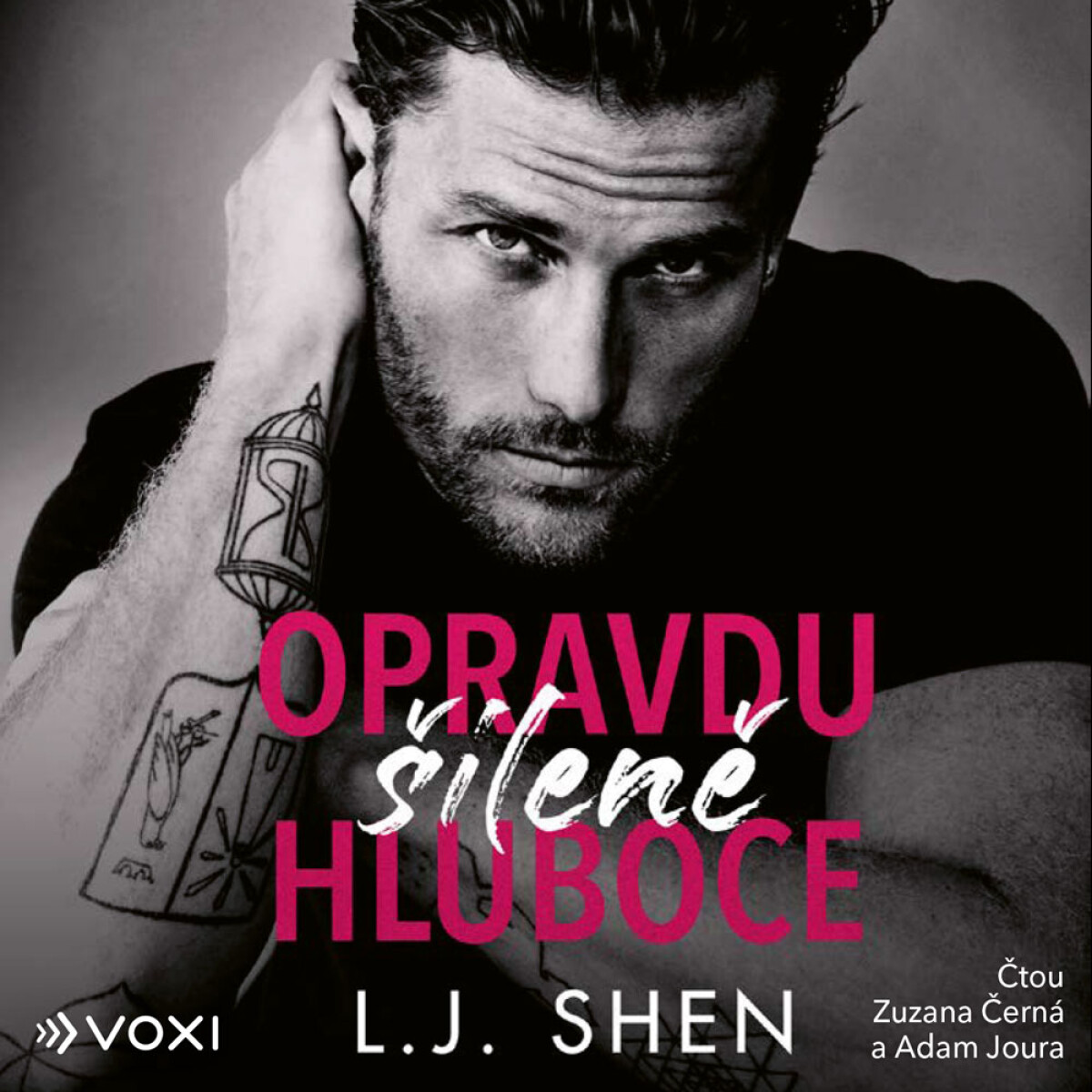 Opravdu šíleně hluboce - L.J. Shen - audiokniha