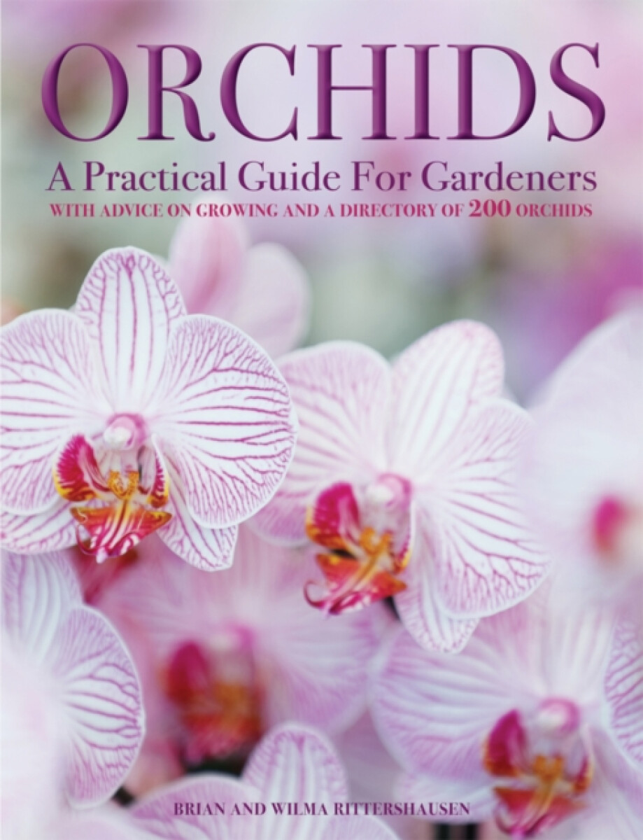 Kniha Orchids