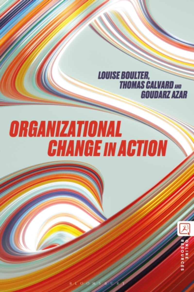 Kniha Organizational Change in Action