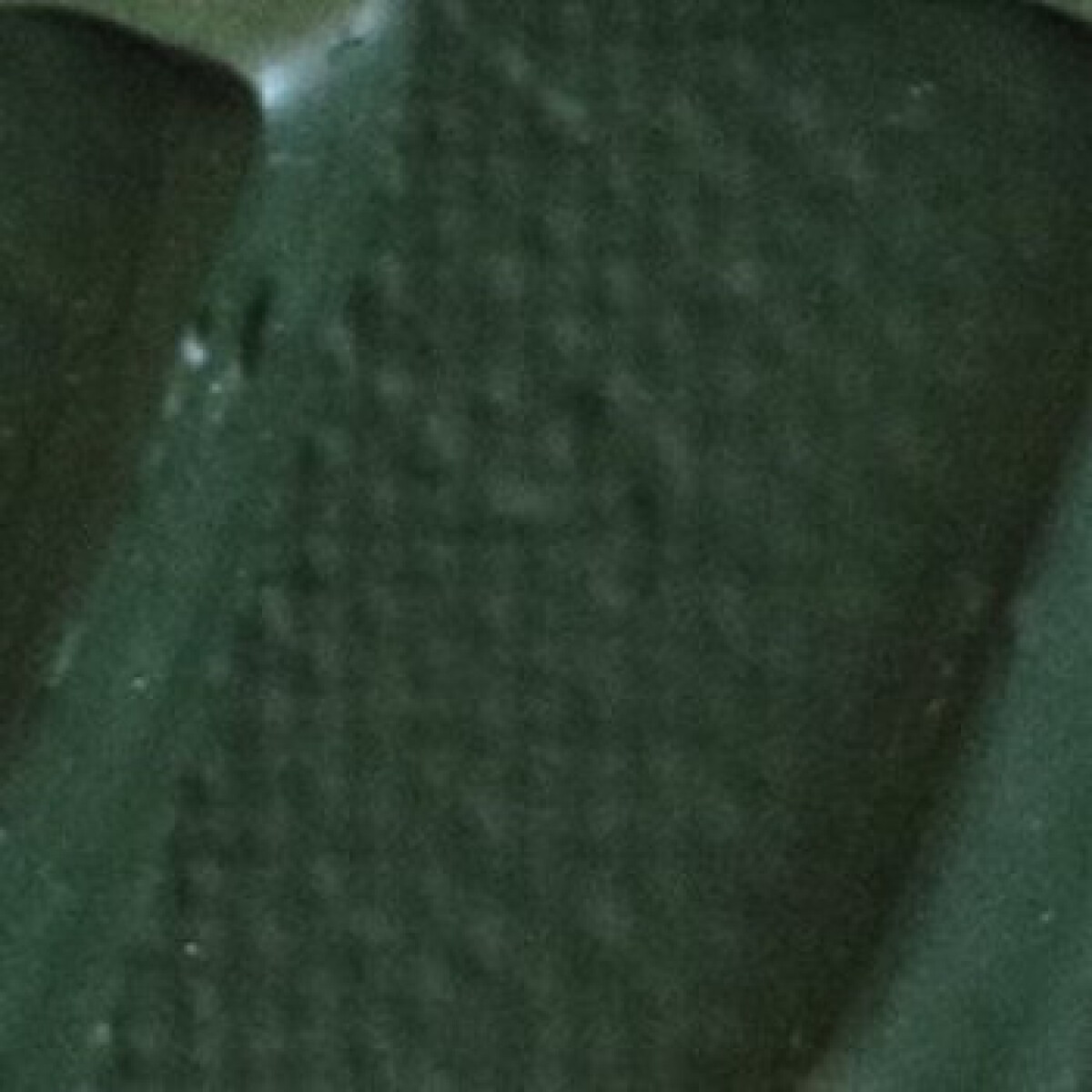 Akrylová barva Pébéo Origin 120ml – 24 Hooker’s green