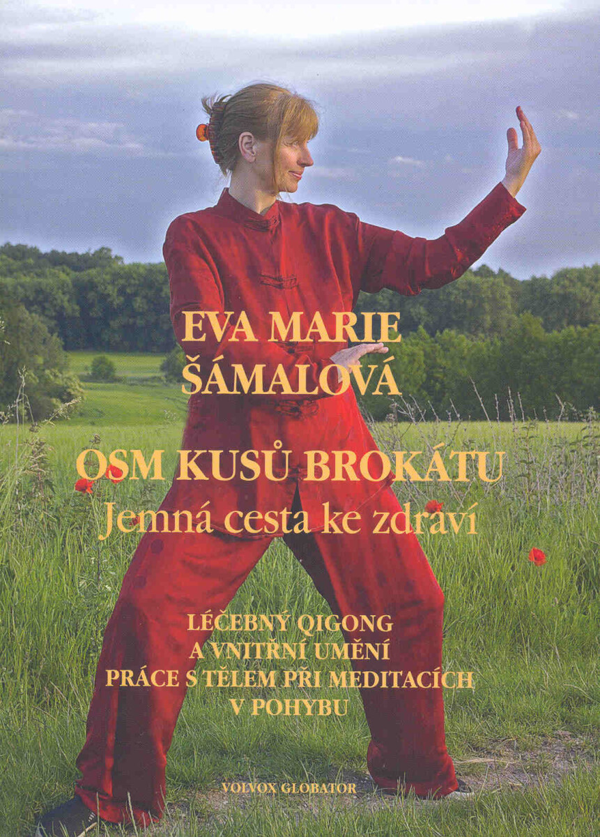 Levně Osm kusů brokátu - Eva Marie Šámalová