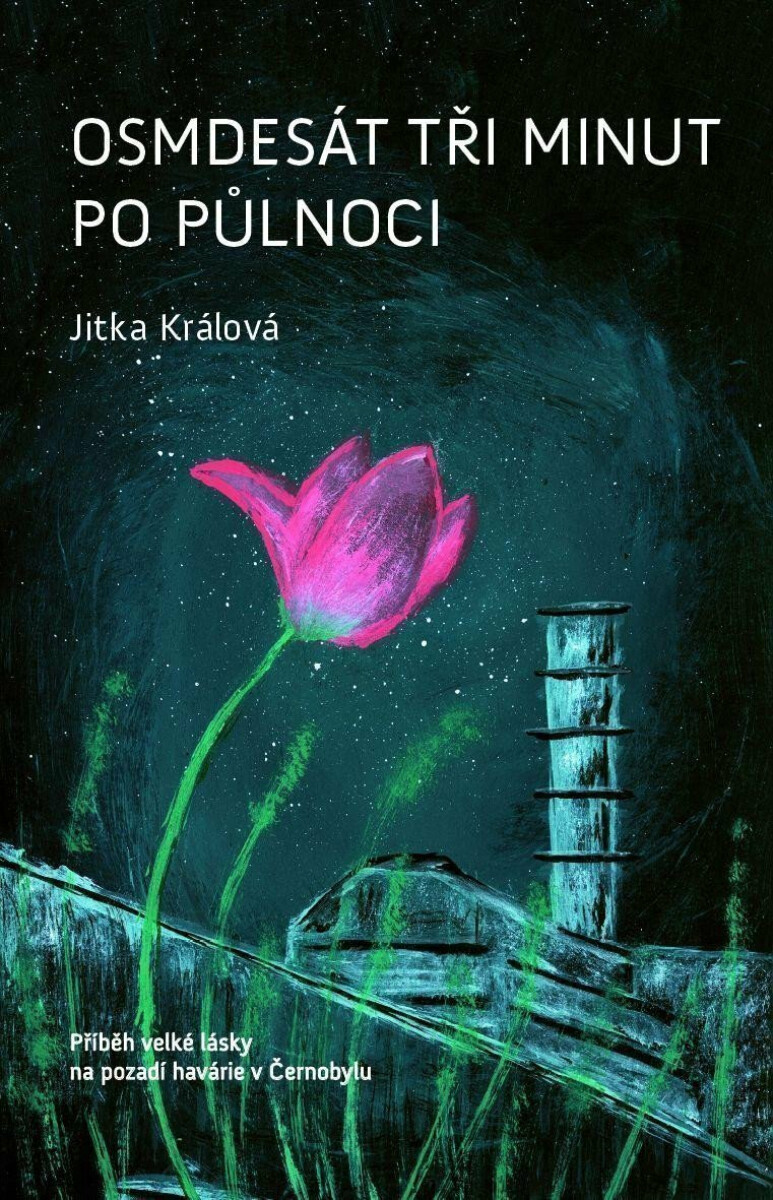 Kniha Osmdesát tři minut po půlnoci