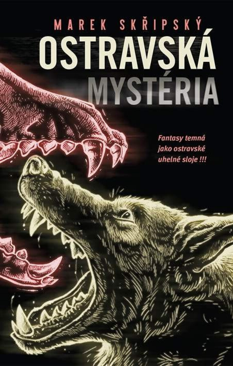 Kniha Ostravská mystéria