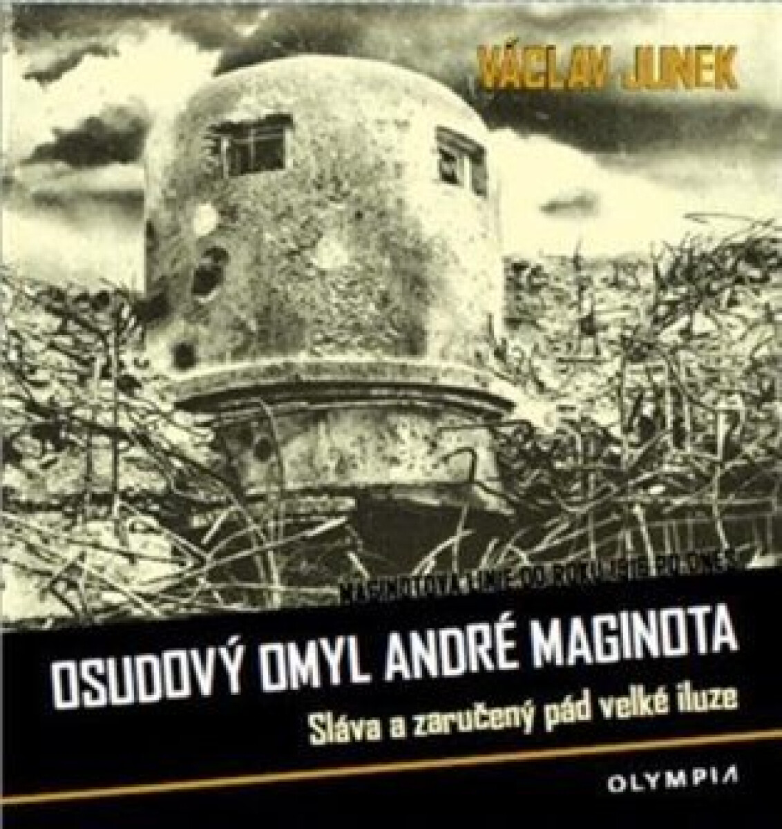 Kniha Osudový omyl André Maginota - Sláva a zaručený pád velké iluze