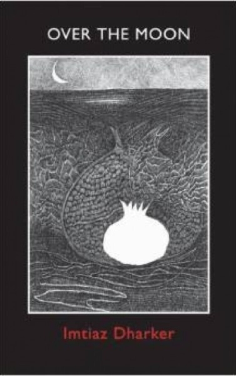 Kniha Over the Moon