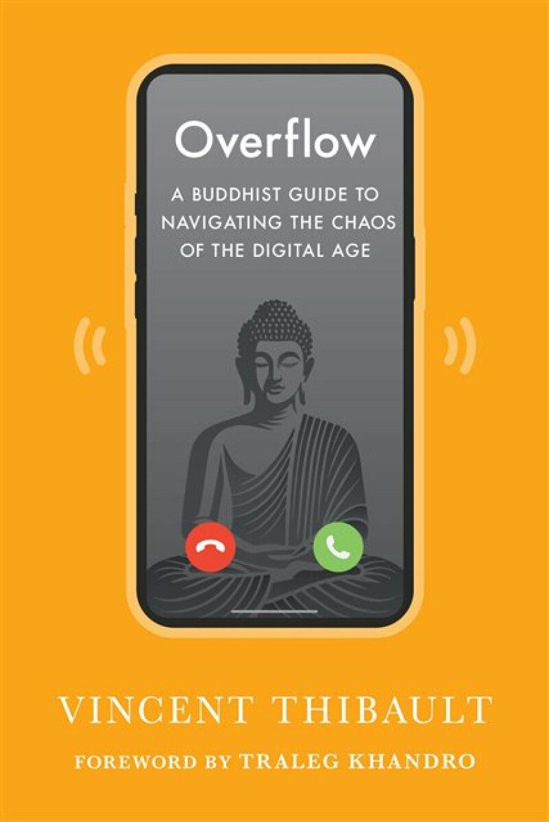 Overflow - Traleg Khandro, Vincent Thibault