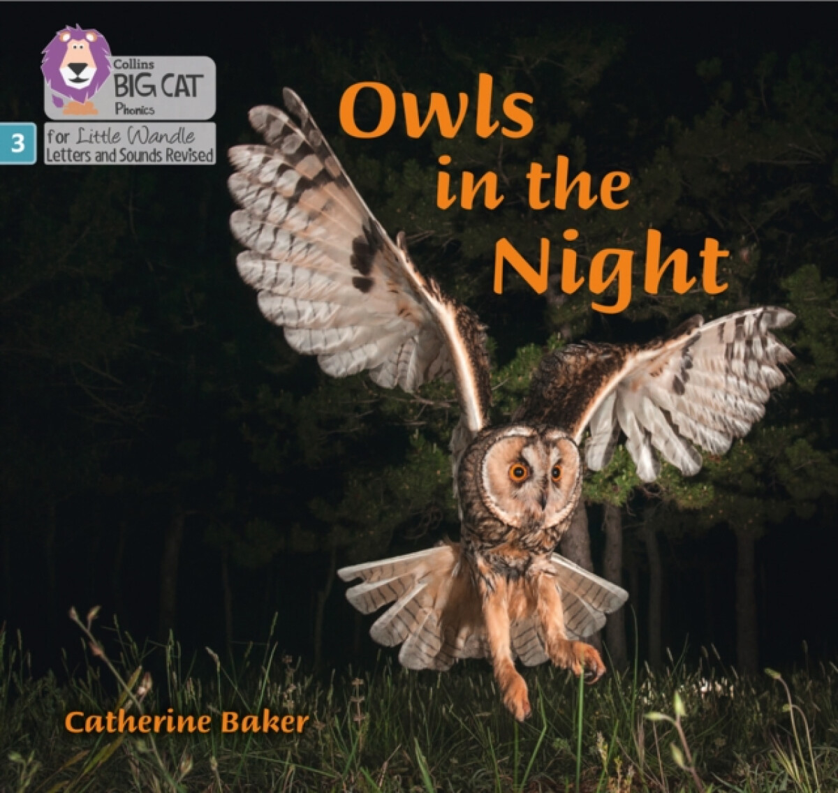 Kniha Owls in the Night