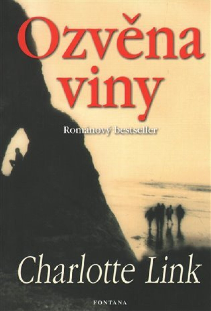 Kniha Ozvěna viny