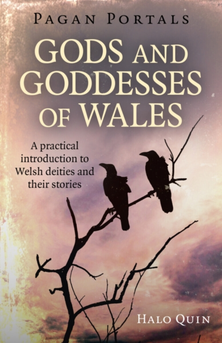Kniha Pagan Portals - Gods and Goddesses of Wales