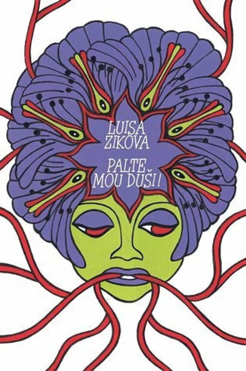 Kniha Palte mou duši