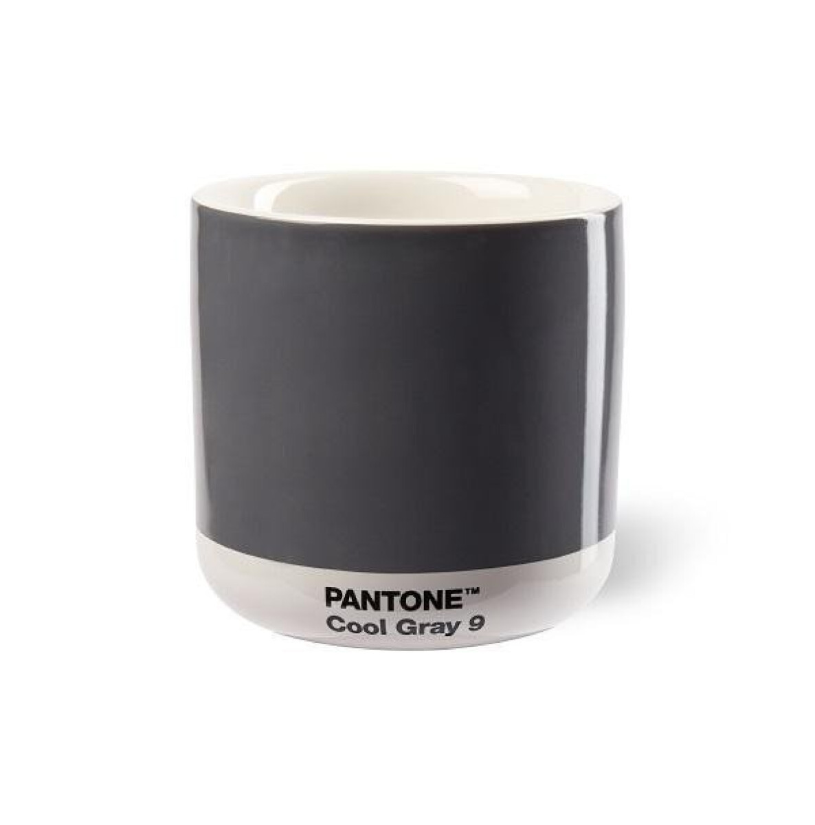 PANTONE Latte termo hrnek - Cool Gray 9