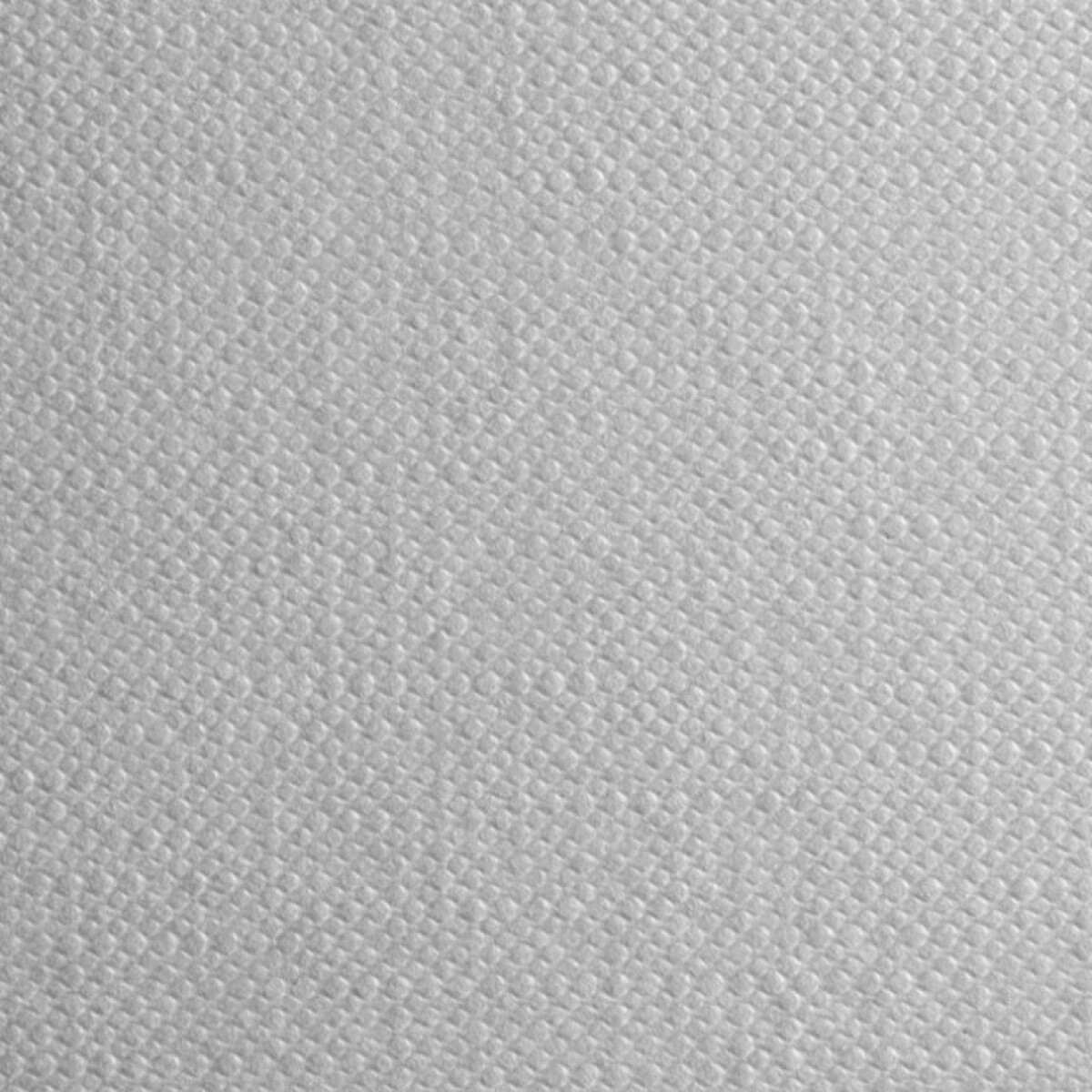 Papír s plátnem Fabriano Tela 50x65cm