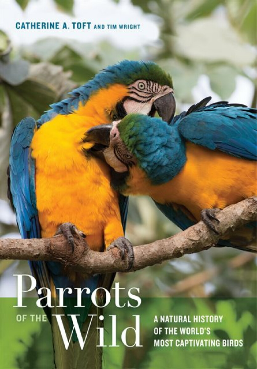 Kniha Parrots of the Wild