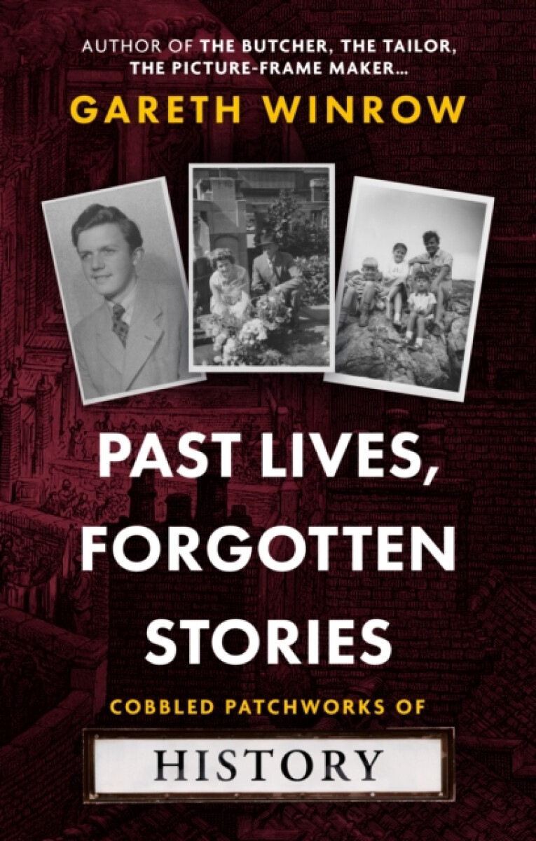 Kniha Past Lives, Forgotten Stories