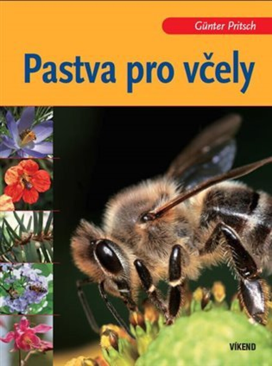 Kniha Pastva pro včely
