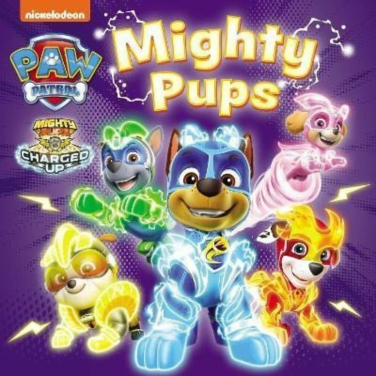 Kniha PAW Patrol Mighty Pups Board Book