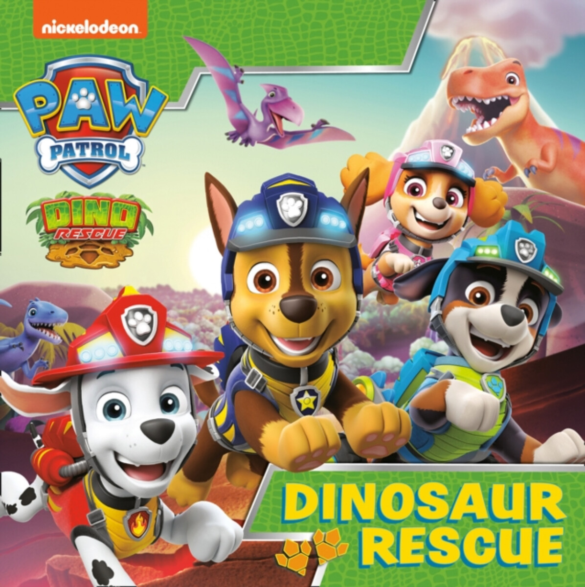 Kniha Paw Patrol Picture Book – Dinosaur Rescue