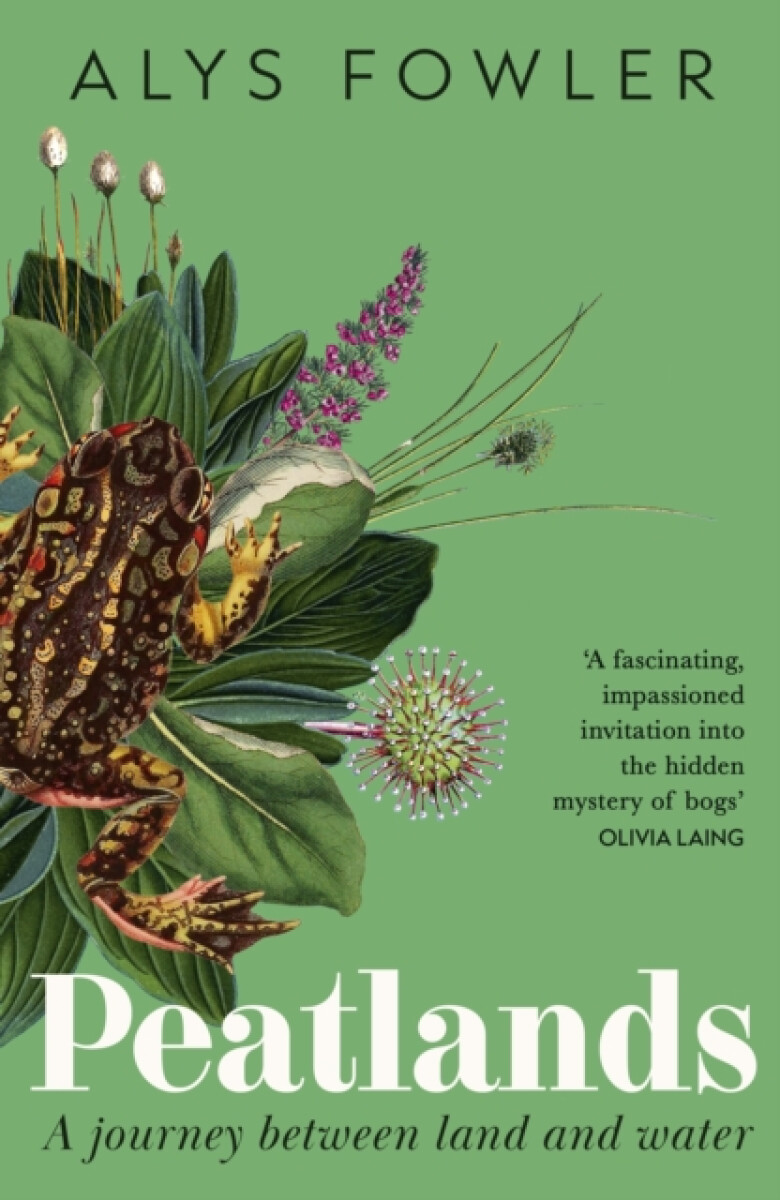 Kniha Peatlands