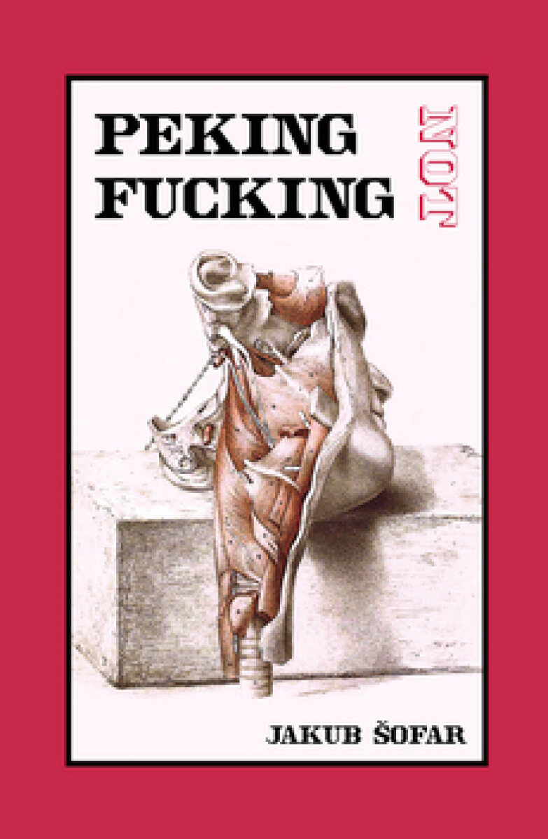 Kniha Peking Not Fucking
