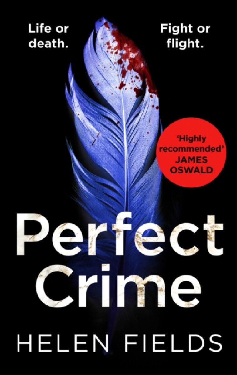 Kniha Perfect Crime