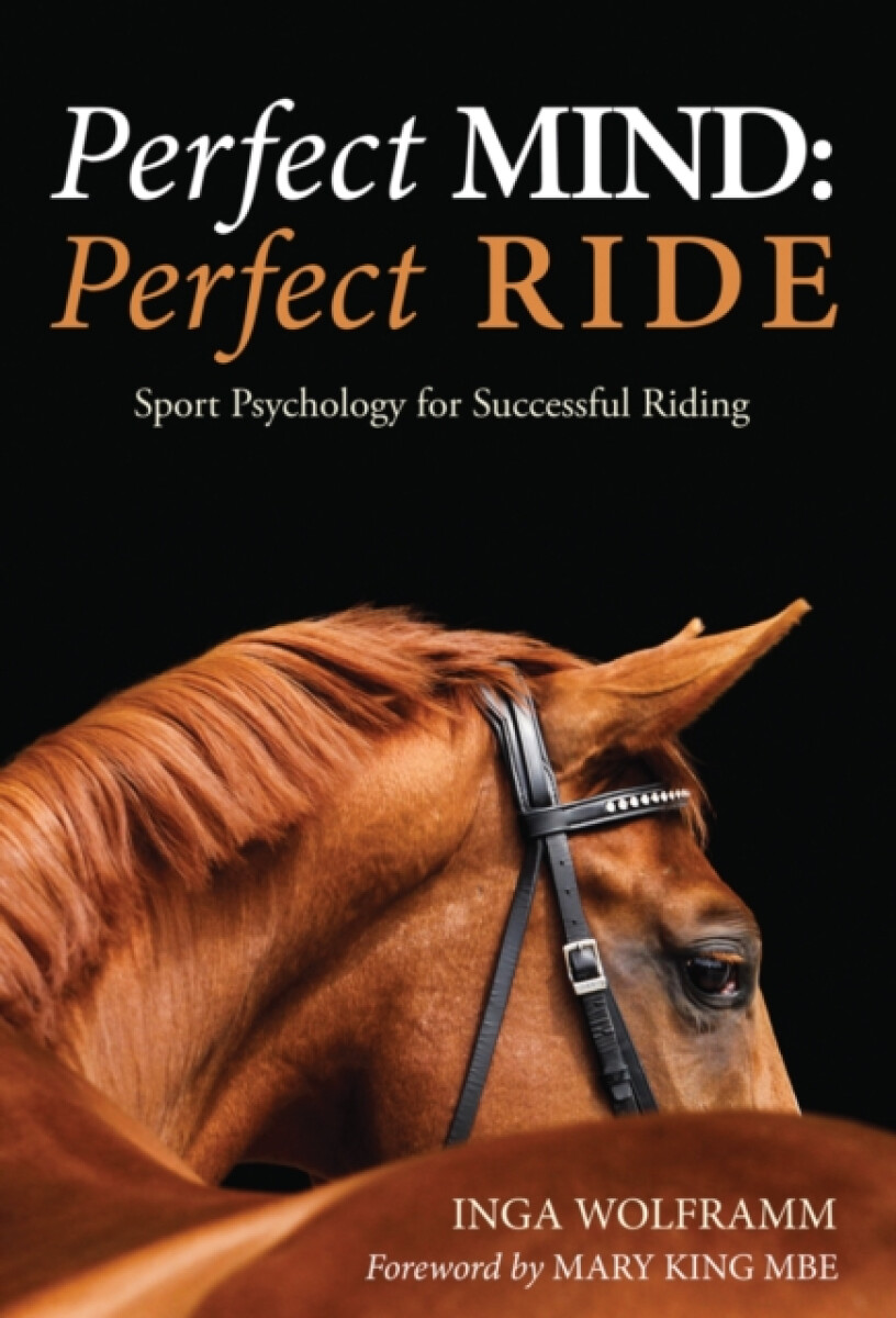 Kniha Perfect Mind: Perfect Ride