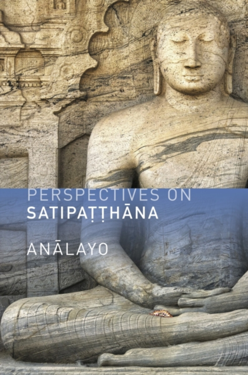 Kniha Perspectives on Satipatthana