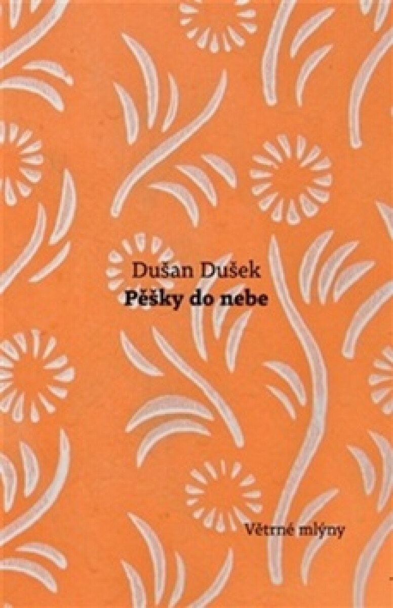 Kniha Pěšky do nebe