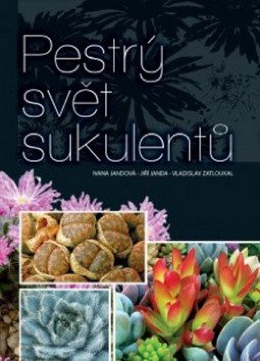 Kniha Pestrý svět sukulentů