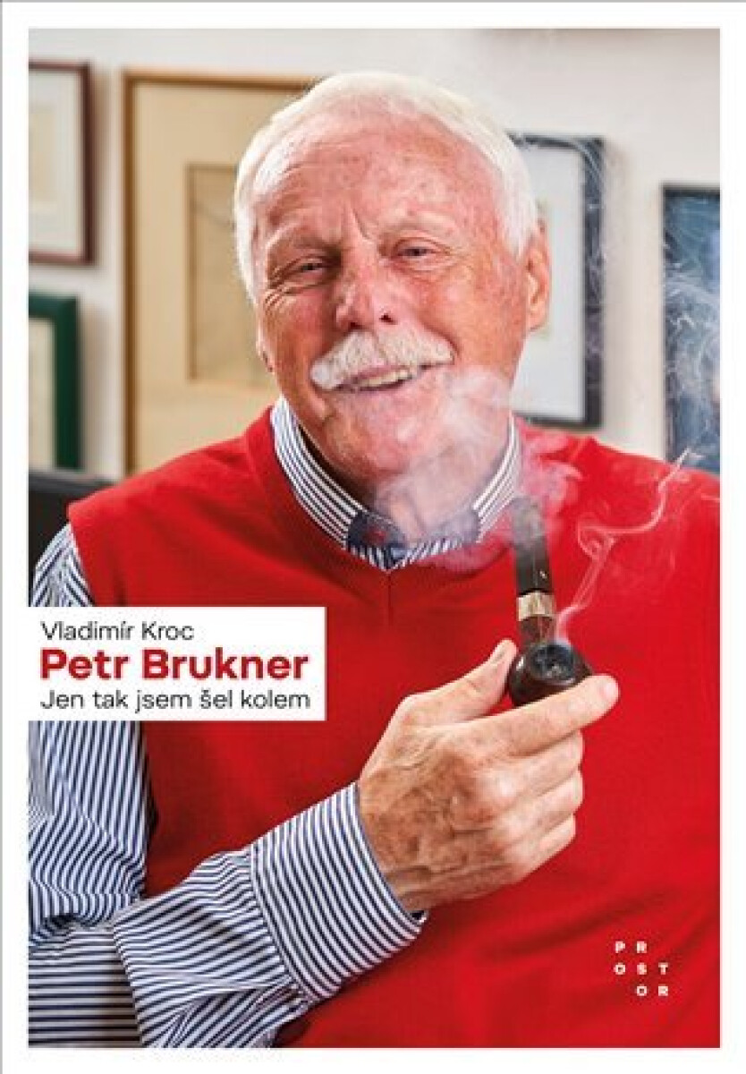 Kniha Petr Brukner - Jen tak jsem šel kolem