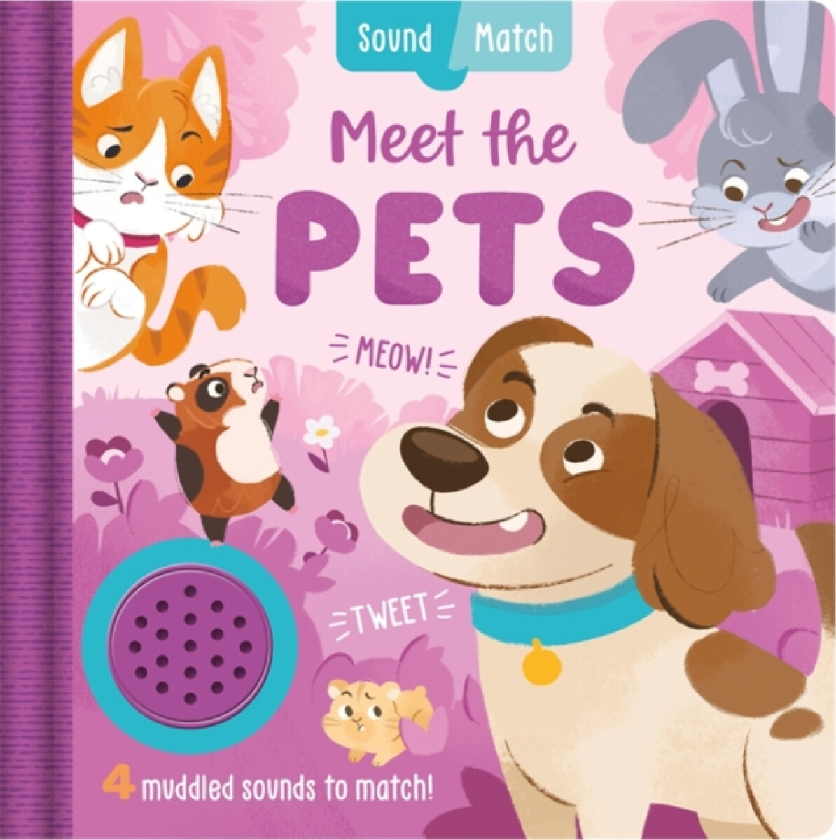 Pets - Igloo Books Ltd