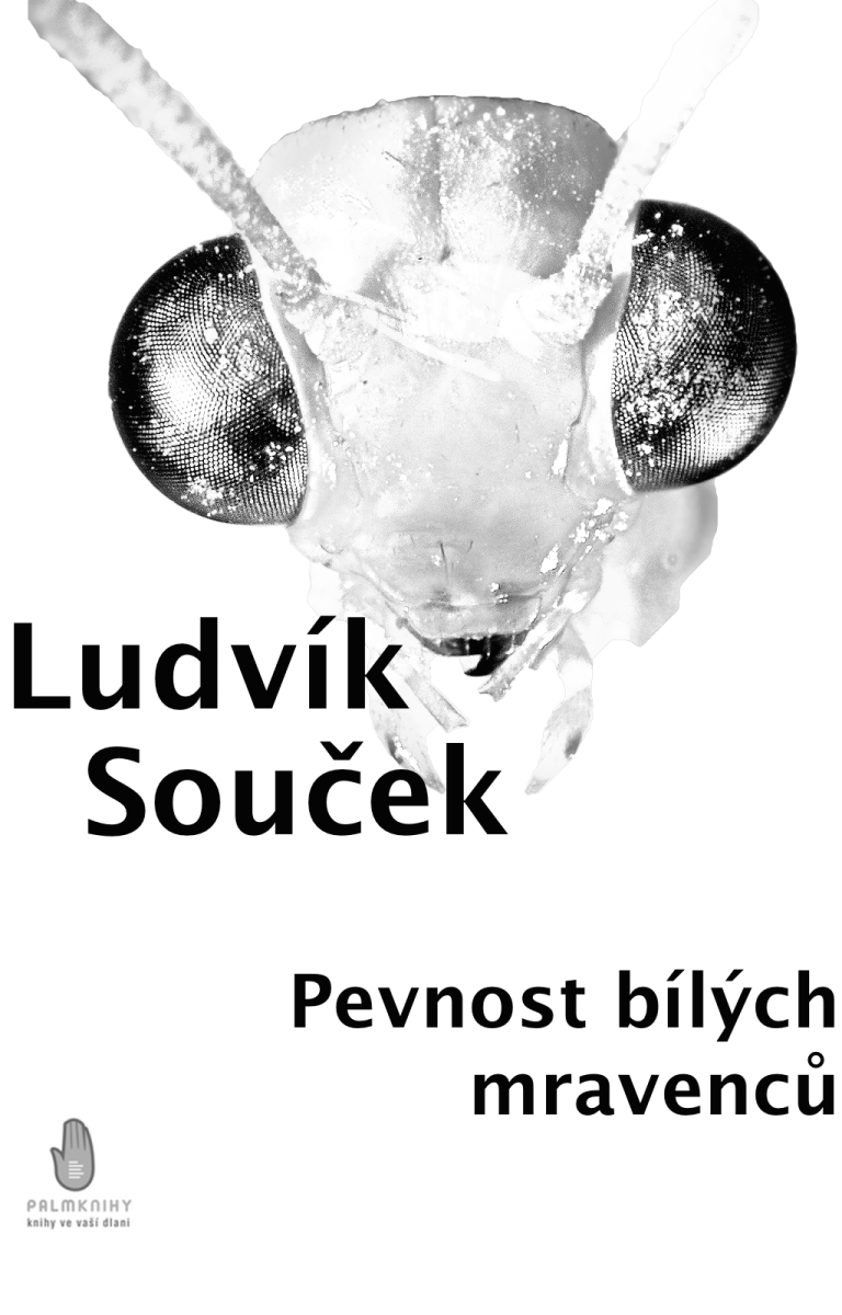 Levně Pevnost bílých mravenců - Ludvík Souček