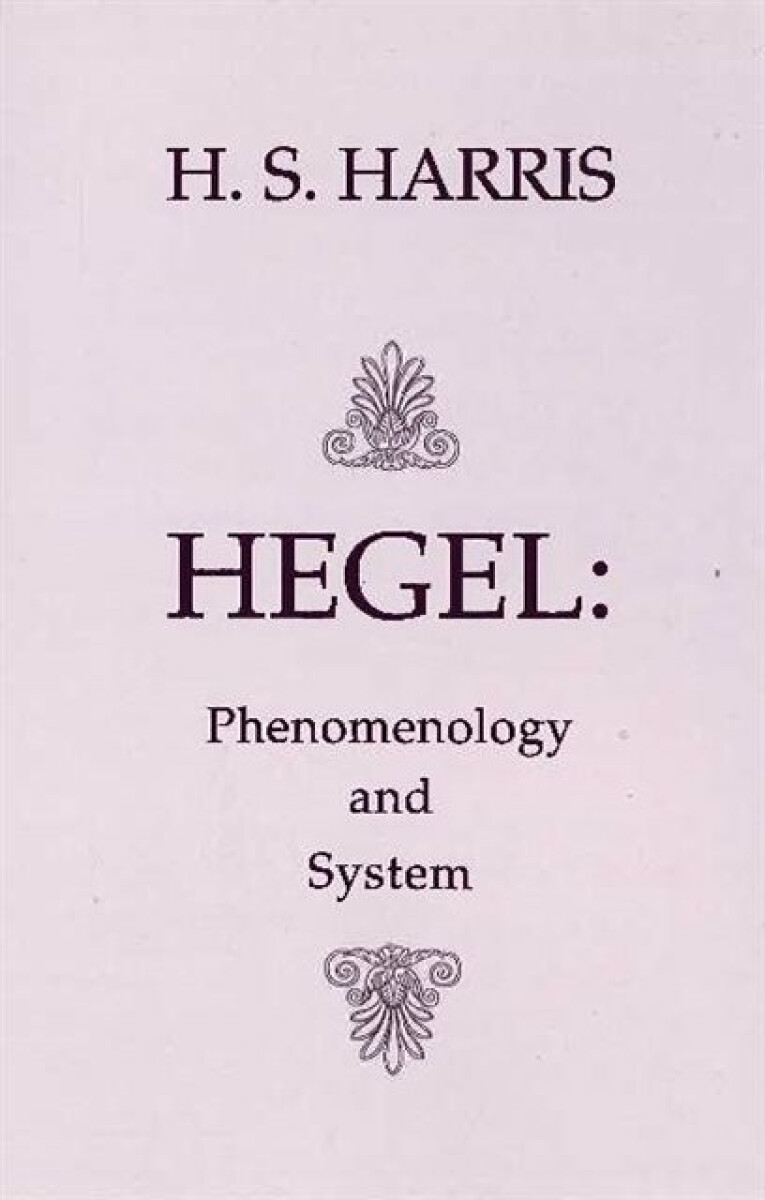 Kniha Phenomenology and System