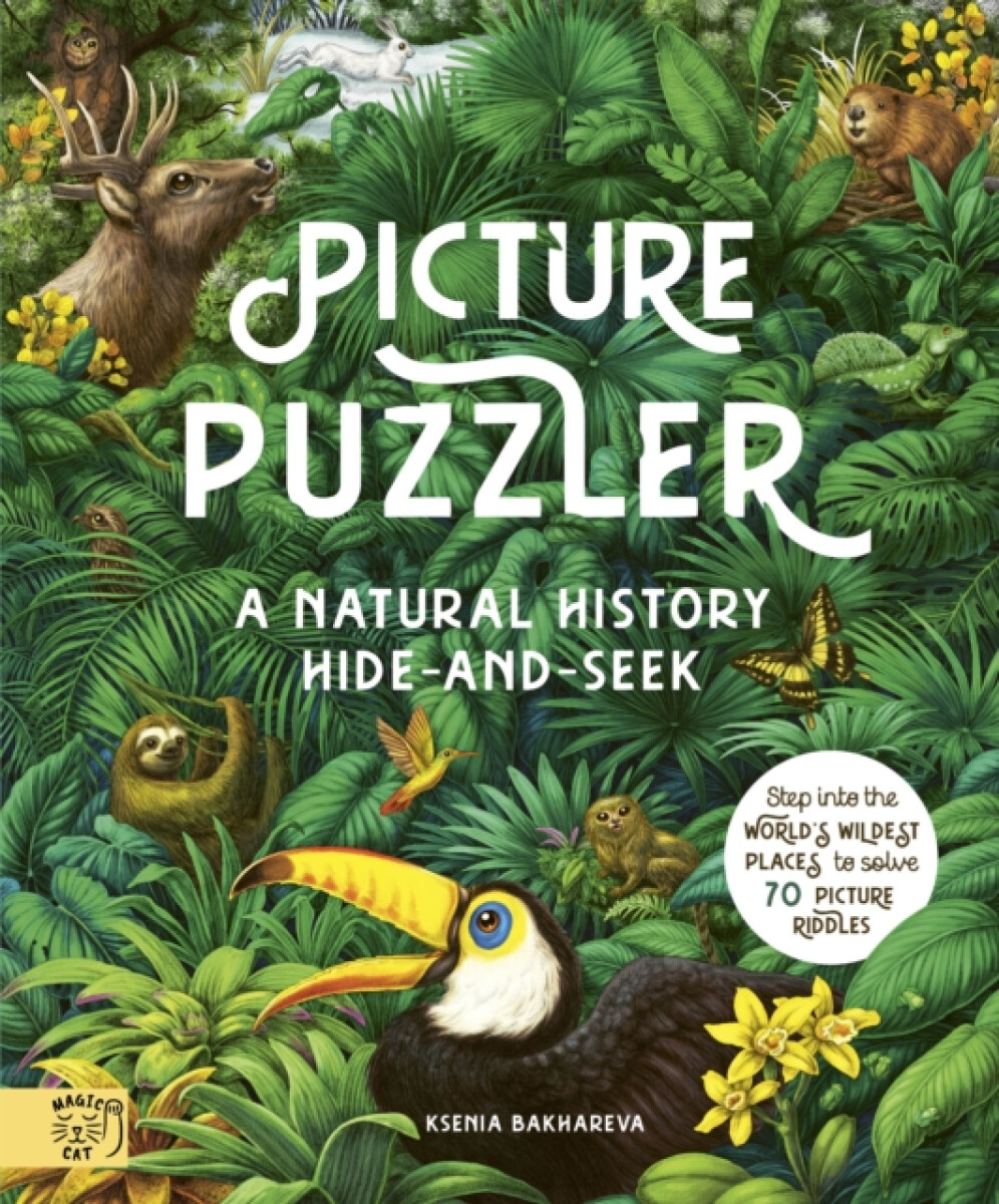 Kniha Picture Puzzler