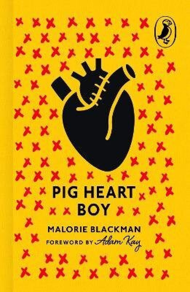 Kniha Pig-Heart Boy