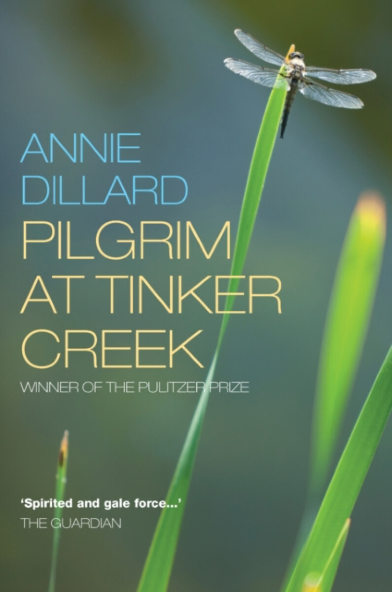Kniha Pilgrim at Tinker Creek