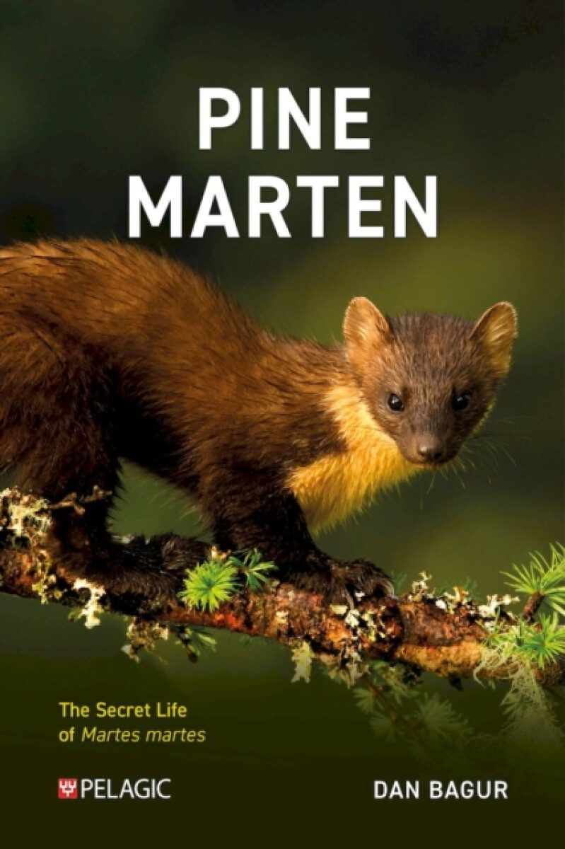 Kniha Pine Marten