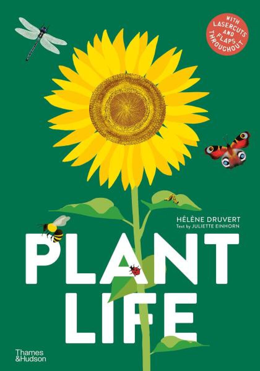 Kniha Plant Life