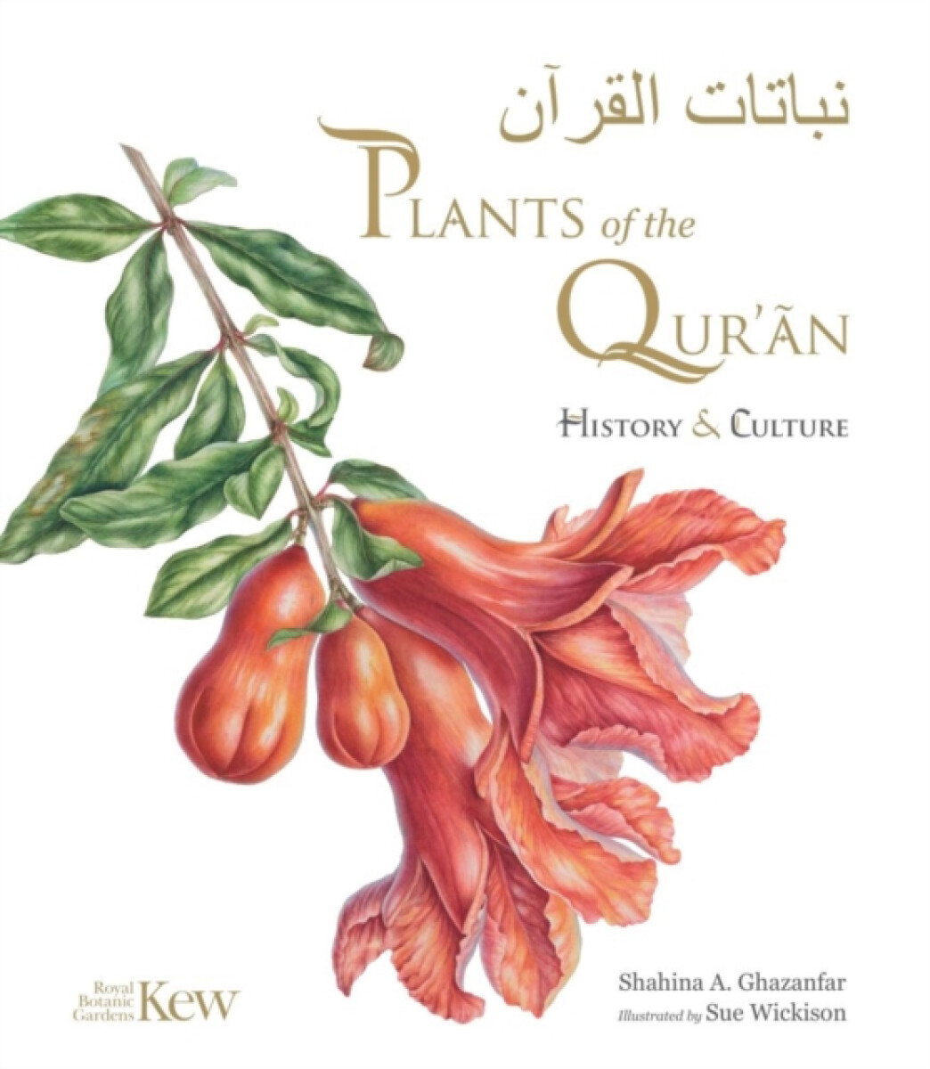 Kniha Plants of the Quran