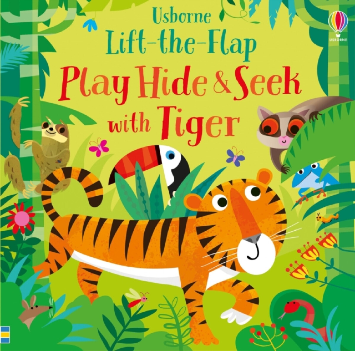 Kniha Play Hide and Seek with Tiger