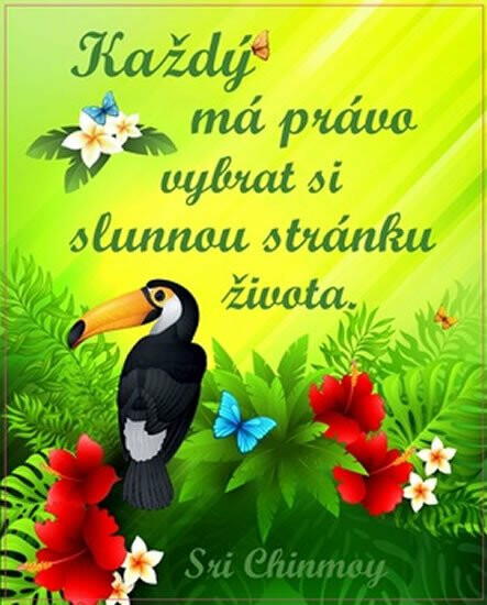 Kniha Plechová cedulka - Každý má právo vybrat si slunnou stránku života