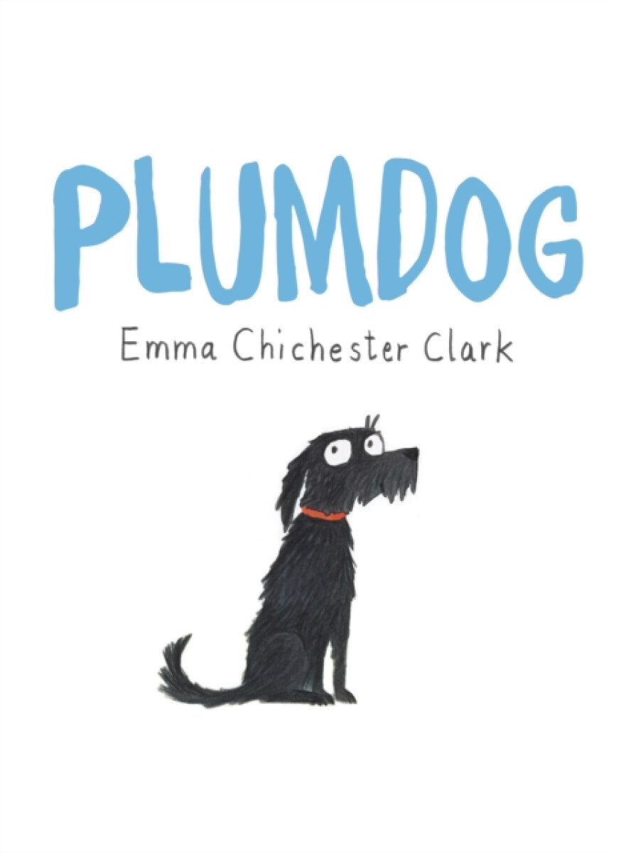 Kniha Plumdog