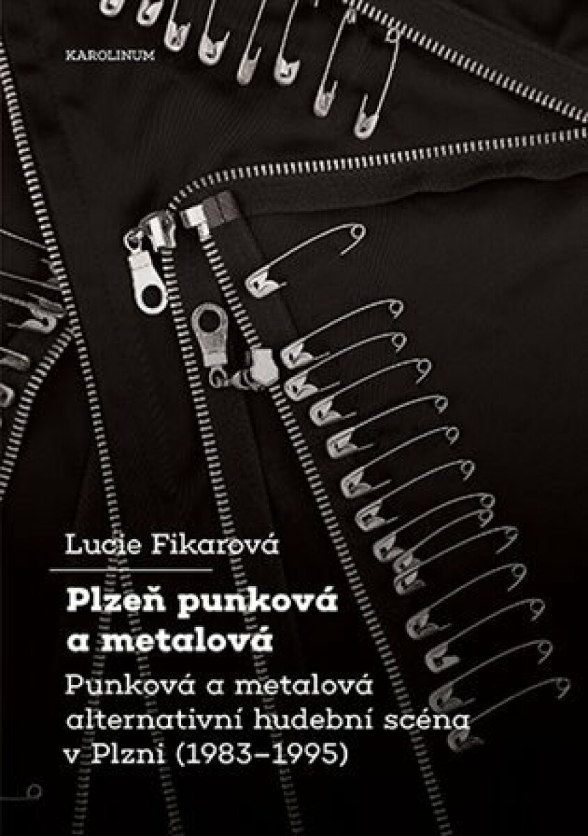 Kniha Plzeň punková a metalová
