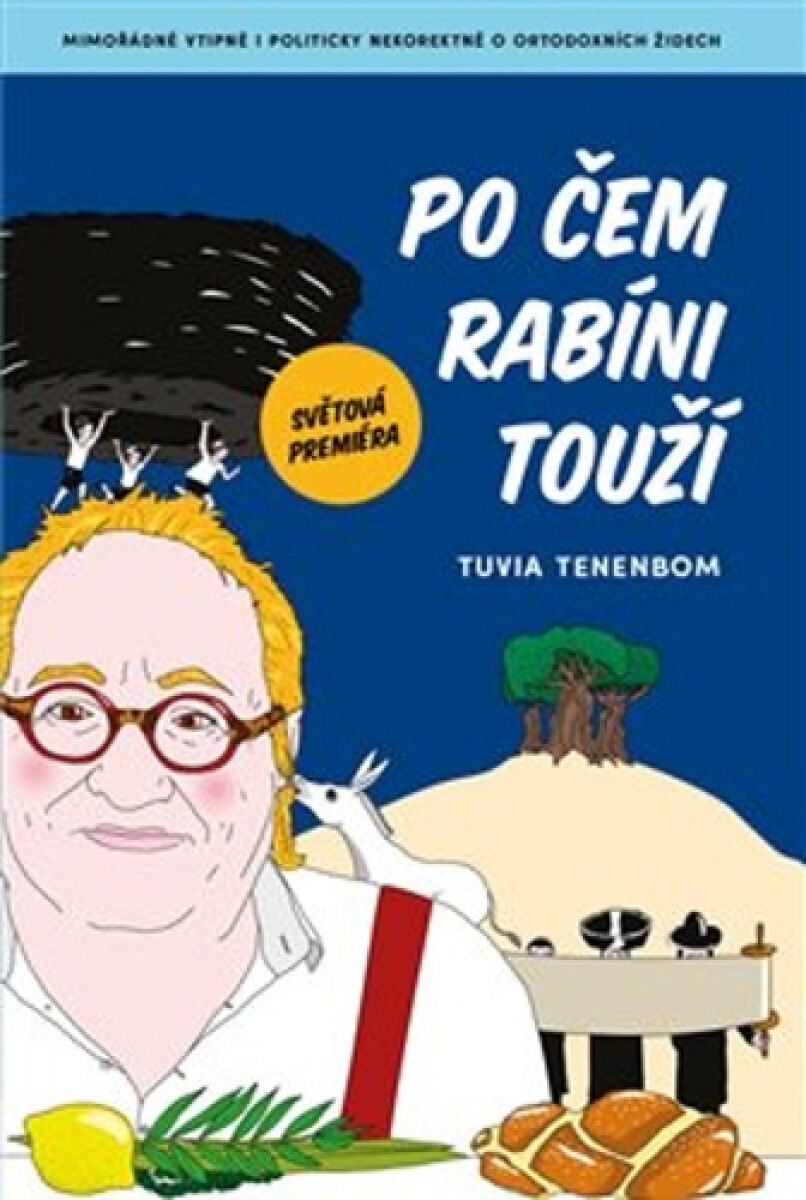 Kniha Po čem rabíni touží